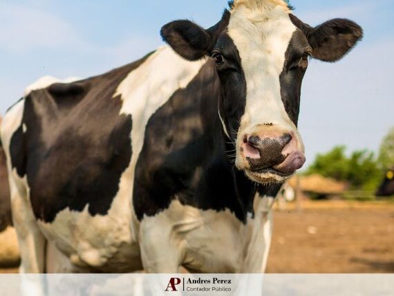 andres-perez-mag-enero-indice