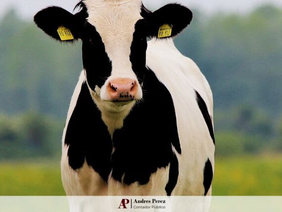 mag-marzo-pagos-andres-perez