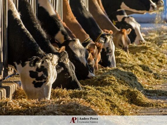 índices de arrendamiento rural abril 2025