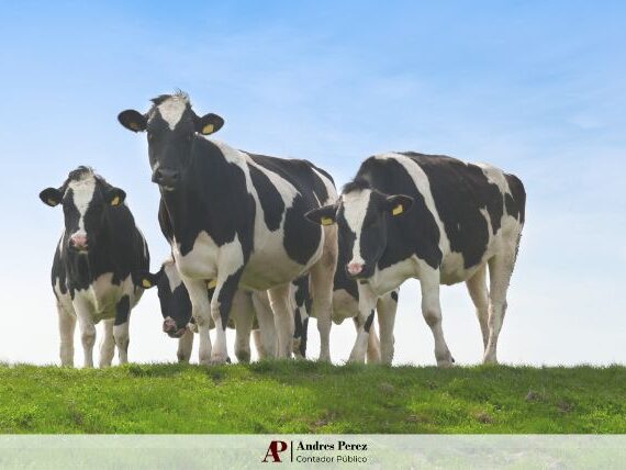 índices de arrendamiento rural junio 2025 MAG