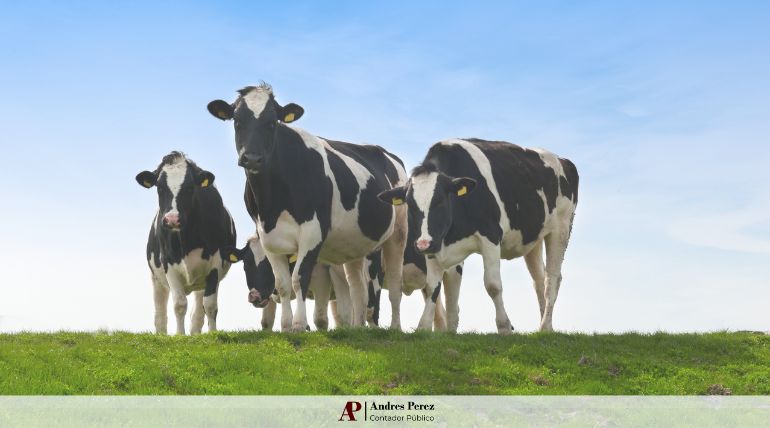 índices de arrendamiento rural junio 2025 MAG