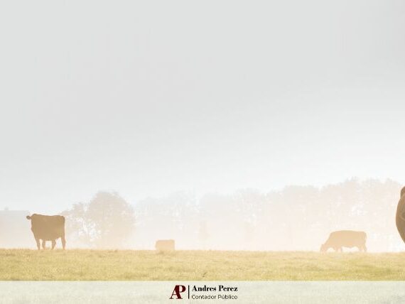 índices de arrendamiento rural julio 2025 MAG