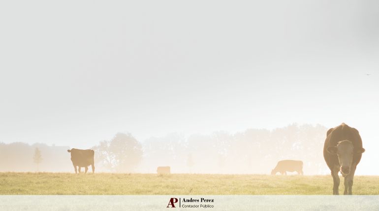 índices de arrendamiento rural julio 2025 MAG