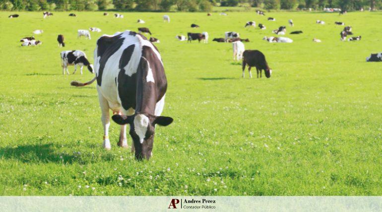 índices de arrendamiento rural Agosto 2025 MAG