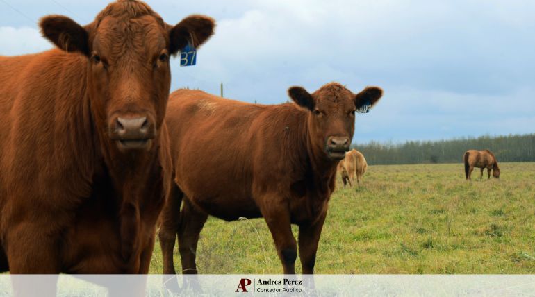 índices de arrendamiento rural septiembre 2025 MAG