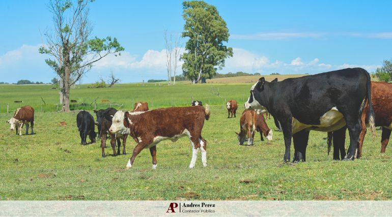 Nuevo Índice de Arrendamiento Rural Enero 2026 - Contador Andres Perez