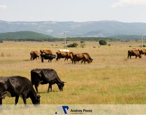 Índice de Arrendamiento Rural Marzo 2026 - Contador Andres Perez