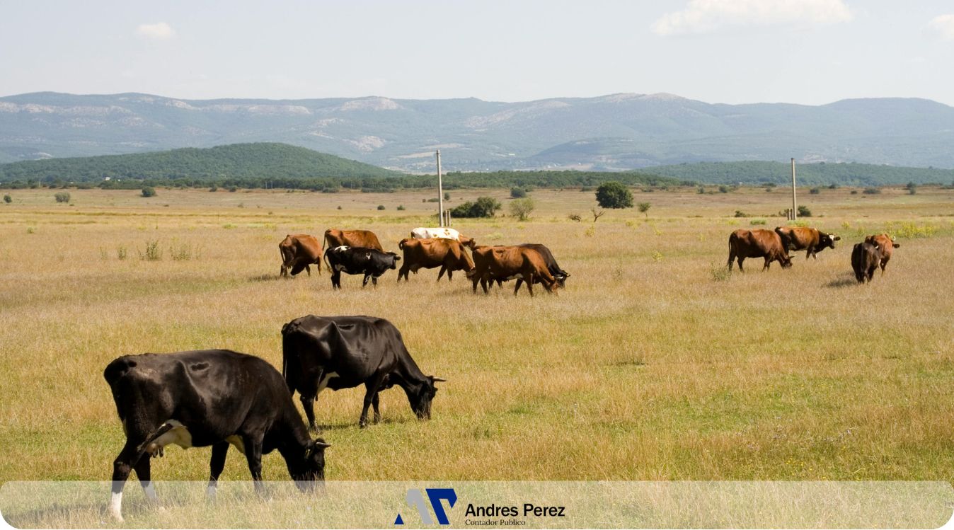 Índice de Arrendamiento Rural Marzo 2026 - Contador Andres Perez