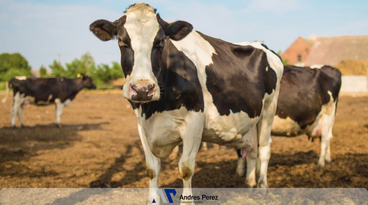 Nuevo Índice de Arrendamiento Rural Abril 2026 – Contador Andres Perez