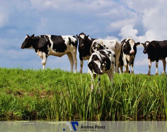 Nuevos Valores del Índice de Arrendamiento Rural – Agosto 2026 | Contador Andres Perez